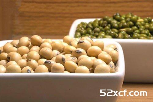 揭密黄豆芽蛋白质含量比黄豆多吗？