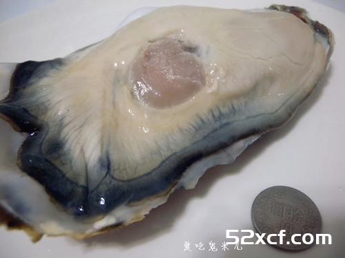 清蒸北美大生蚝的做法