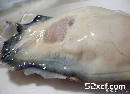 清蒸北美大生蚝的做法