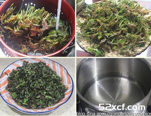 油浸香椿芽的做法