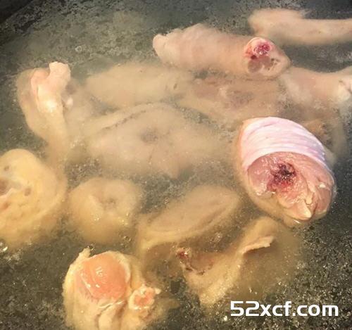 九尾草炖鸡汤的做法