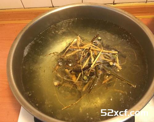 九尾草炖鸡汤的做法