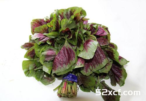 苋菜不能和什么一起吃？