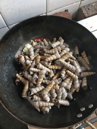 爆炒锥螺的做法