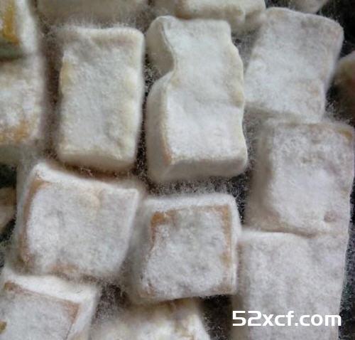 如何让豆腐长毛的方法