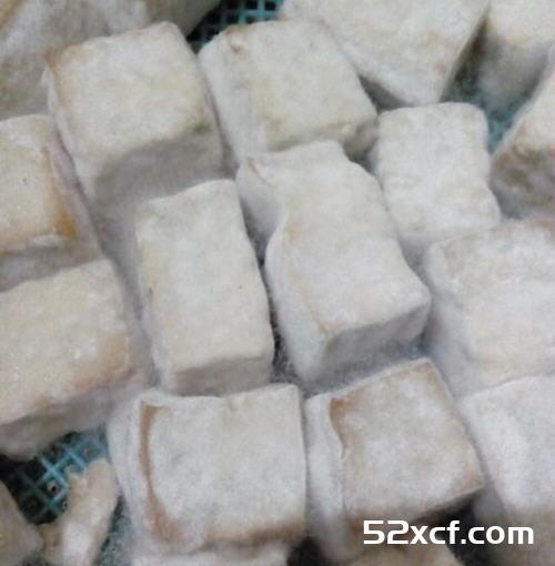 如何让豆腐长毛的方法