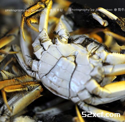 清蒸河蟹的做法