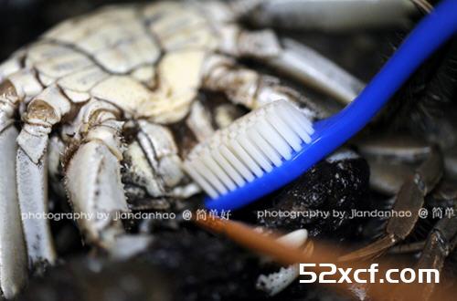 清蒸河蟹的做法