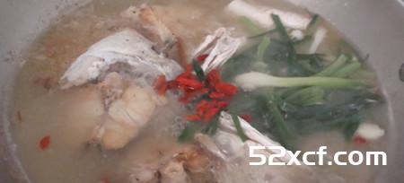 野生海鲈鱼汤的做法