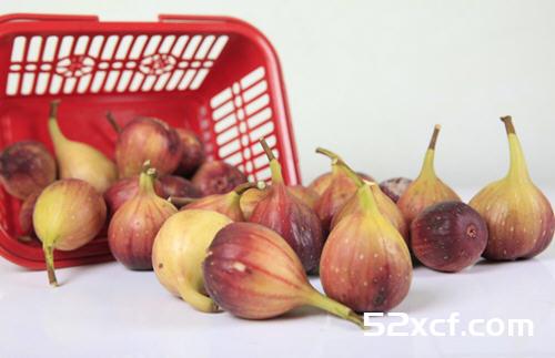 无花果皮可以吃吗