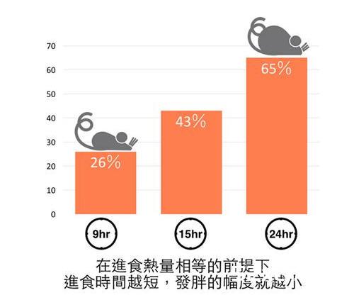 少吃多餐能减肥？其实多量少餐更能瘦