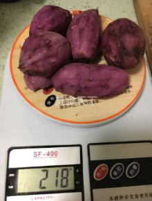 紫薯米糊破壁机