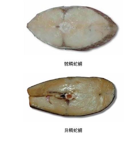 辨别真鳕鱼的五大技巧