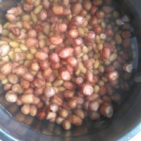 料理机做花生味豆腐的方法