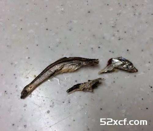 泡菜黄豆芽汤的做法
