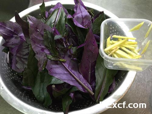 麻油炒红凤菜的做法