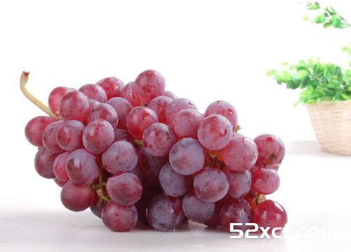 提子的清洗方法图解