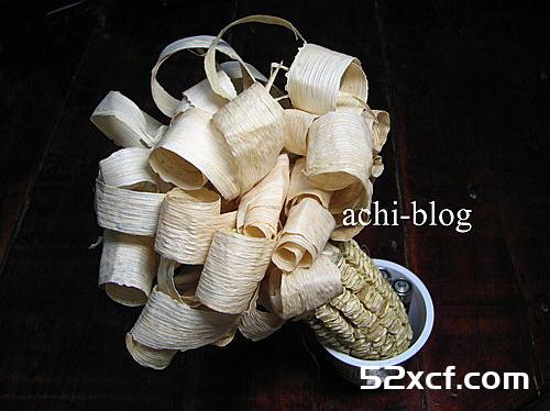 白玉米盆栽方法图解