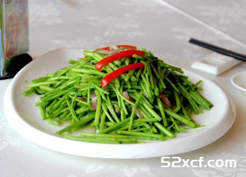 芦蒿是发物吗？芦蒿到底是不是发物？