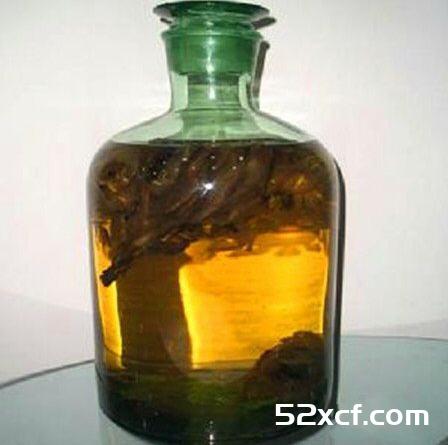 肉苁蓉泡酒的配方和方法