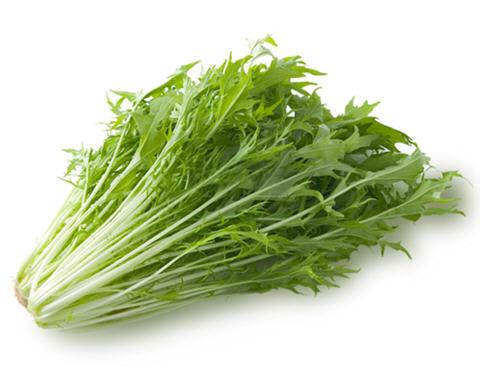 预防感冒和解决肌肤干燥问题的三款水菜食谱