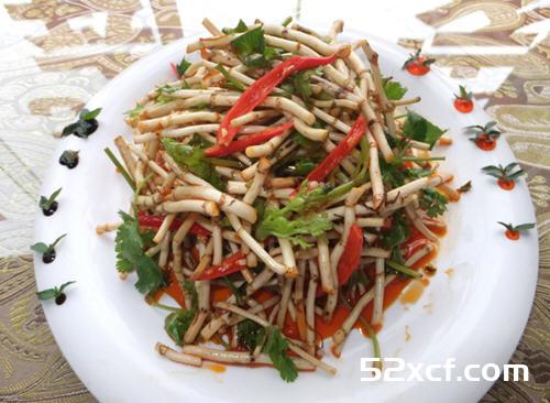 鱼腥草难吃吗？为什么都说折耳根难吃