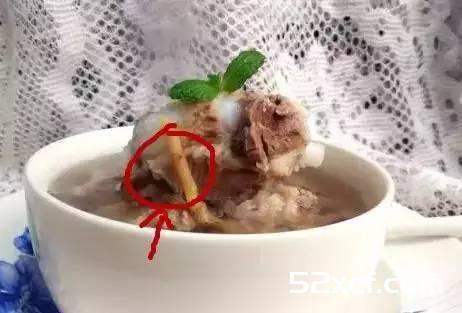 鱼腥草难吃吗？为什么都说折耳根难吃