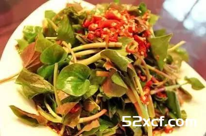 鱼腥草难吃吗？为什么都说折耳根难吃
