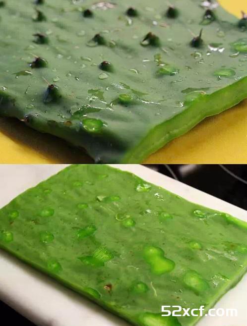 仙人掌绿色牛排的做法