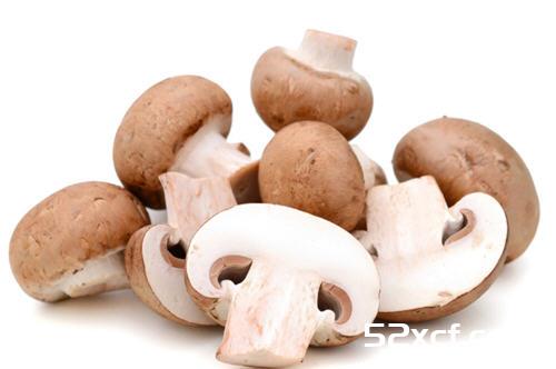 湿香菇能炒菜么？