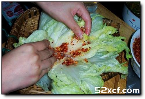 韩国辣白菜的腌制方法