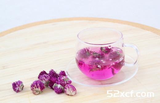 千日红茶的泡法
