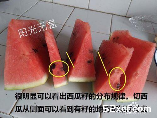 西瓜酸奶冰棒的做法