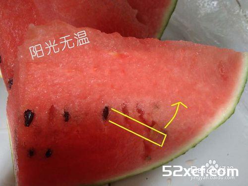 西瓜酸奶冰棒的做法