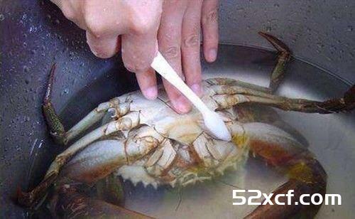 梭子蟹怎么洗才干净
