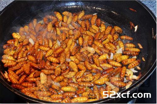 韭菜炒蚕蛹的做法