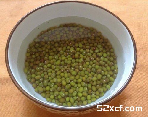怎样自己发绿豆芽