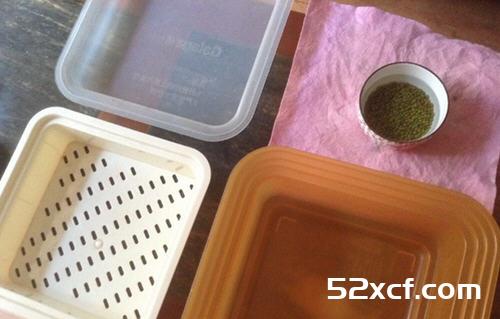 怎样自己发绿豆芽