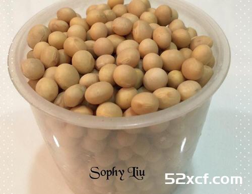 免滤渣的豆浆做法