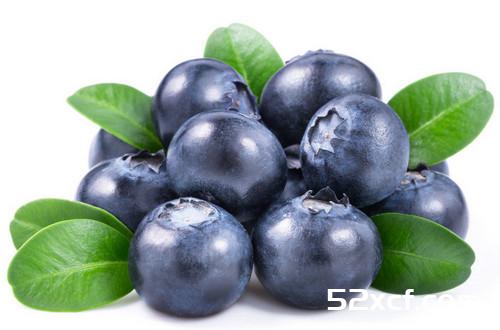 世界上公认营养含最高的十大食物