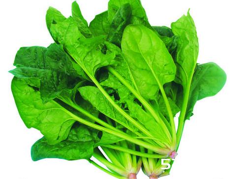 世界上公认营养含最高的十大食物