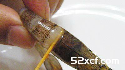 黄金虾球的做法