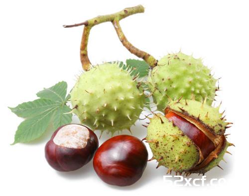 吃板栗会发胖吗？