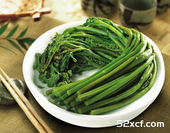 蕨菜图片大全_野生蕨菜图片