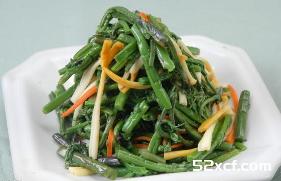 蕨菜图片大全_野生蕨菜图片