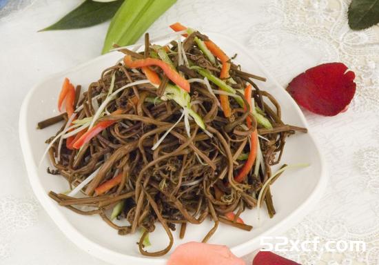 蕨菜图片大全_野生蕨菜图片
