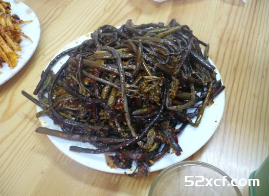 蕨菜图片大全_野生蕨菜图片