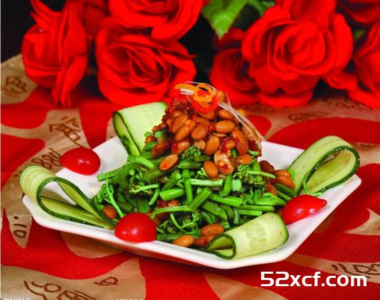 蕨菜图片大全_野生蕨菜图片