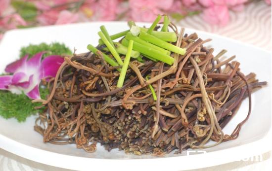 蕨菜图片大全_野生蕨菜图片