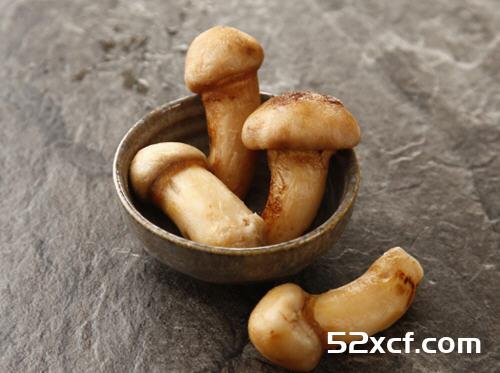 松茸的保存方法,新鲜松茸怎么样保鲜更长久的技巧